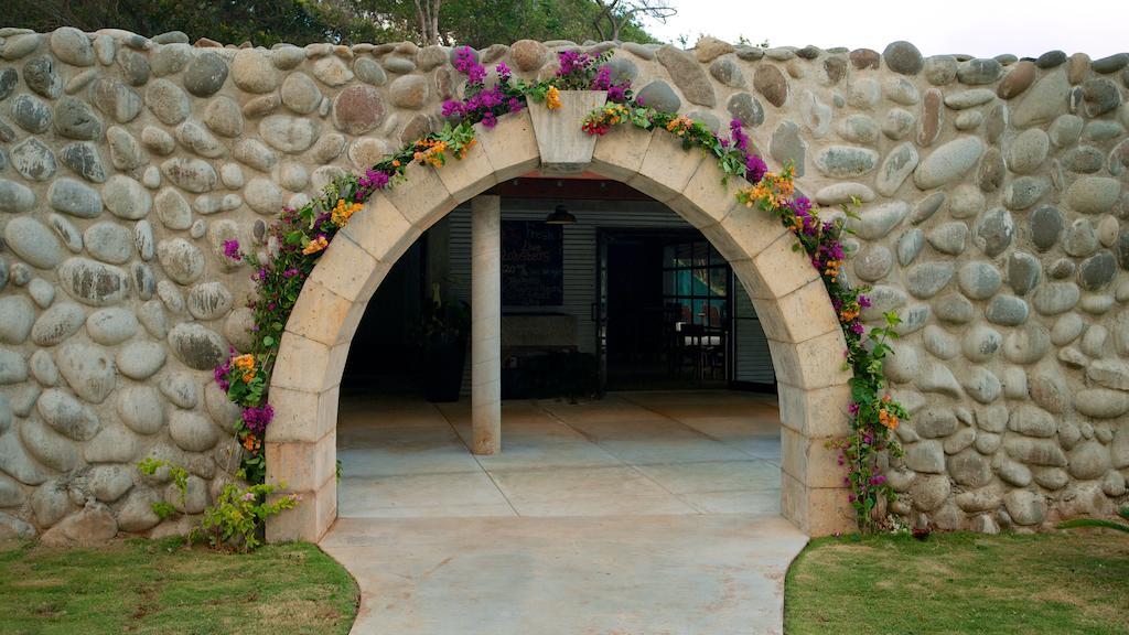 Pagua Bay House - Oceanfront Cabana'S Marigot Exterior foto