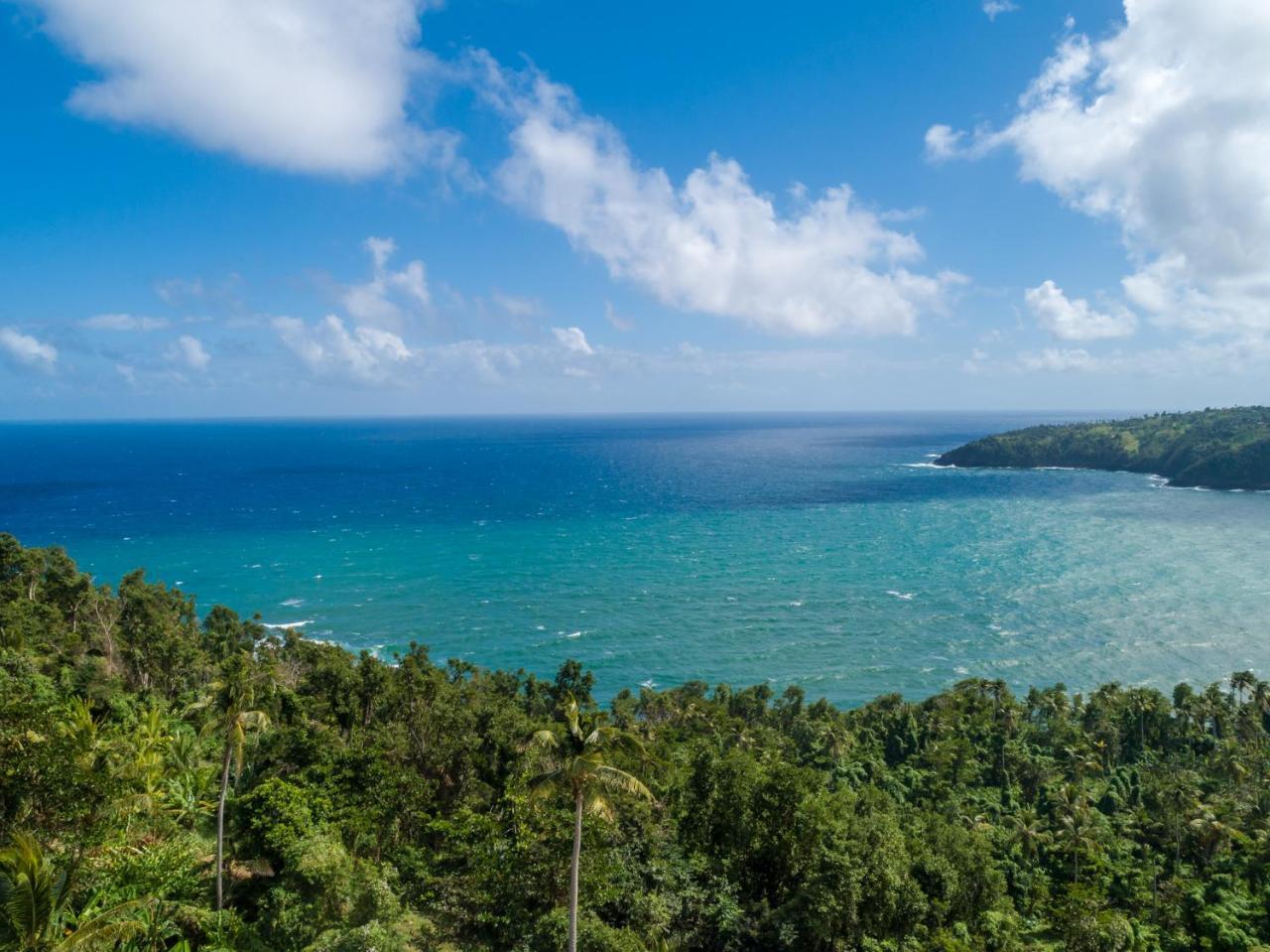 Pagua Bay House - Oceanfront Cabana'S Marigot Exterior foto